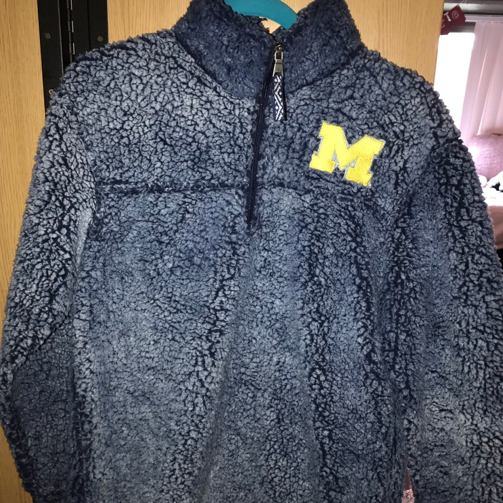 Michigan cozy sweatshirt